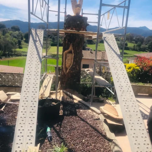 5A8F25F2-93AB-4F21-9113-B28935D65429